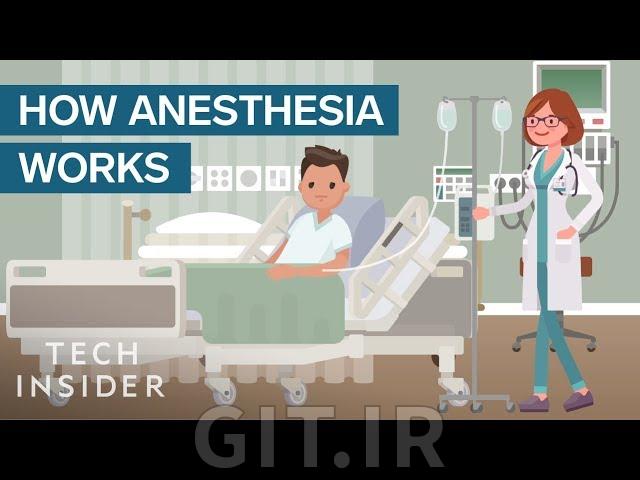How Anesthesia Affects Your Brain And Body Thumbnail Git.ir 